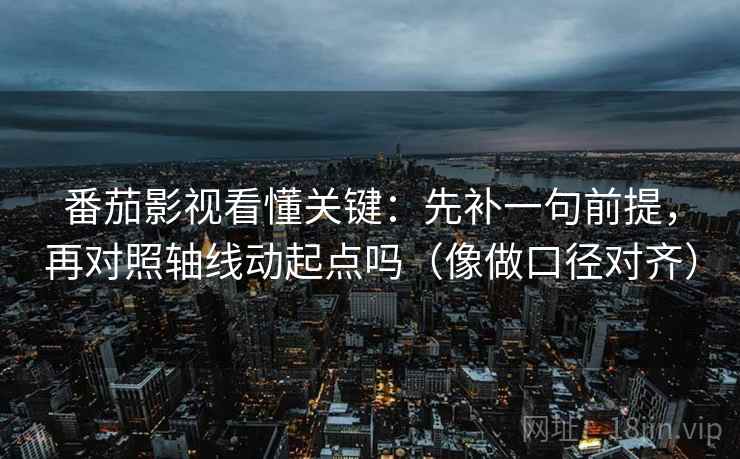番茄影视看懂关键：先补一句前提，再对照轴线动起点吗（像做口径对齐）